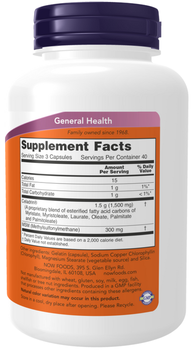 NOW Foods Celadrin &amp; MSM, 500 mg – 120 Kapseln