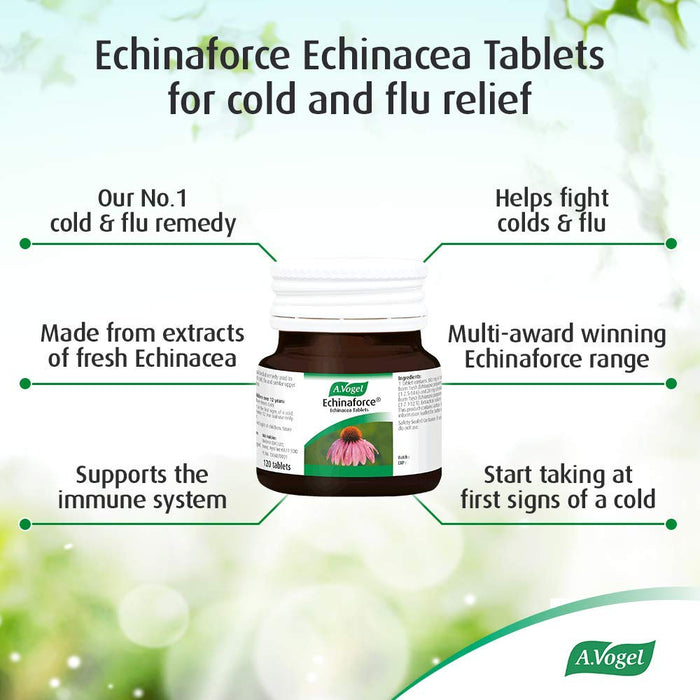 A Vogel Echinaforce Echinacea 120 Tablets - Immune Support at MySupplementShop by A.Vogel