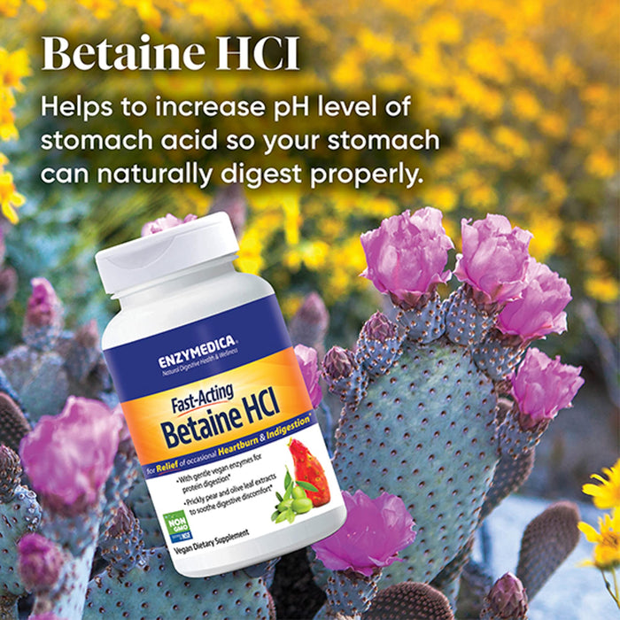 Enzymedica Betaine HCl - 120 caps Best Value Nutritional Supplement at MYSUPPLEMENTSHOP.co.uk