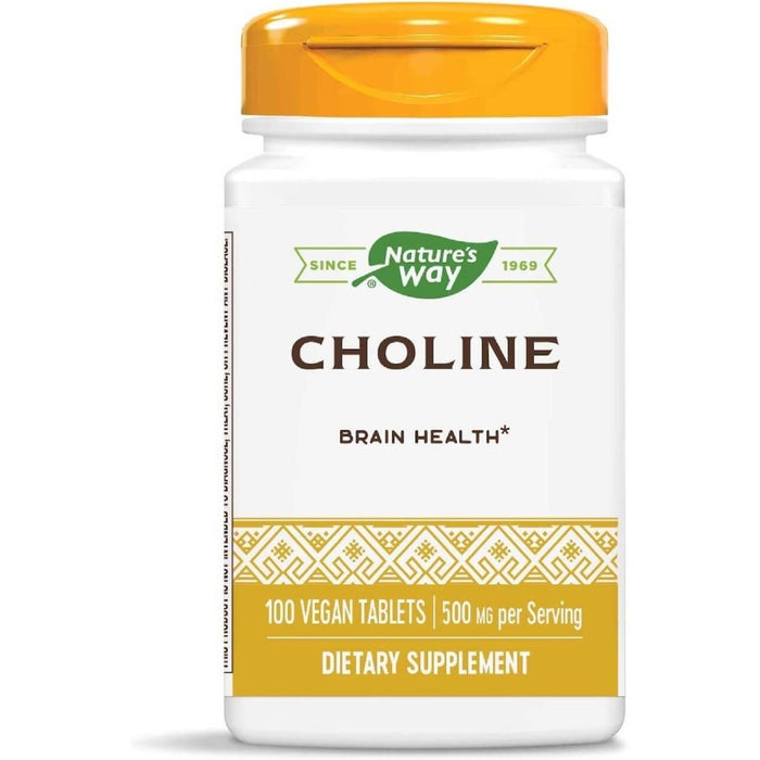 Nature's Way Choline 500mg 100 Vegan Tablets - Brain & Memory at MySupplementShop by Nature's Way