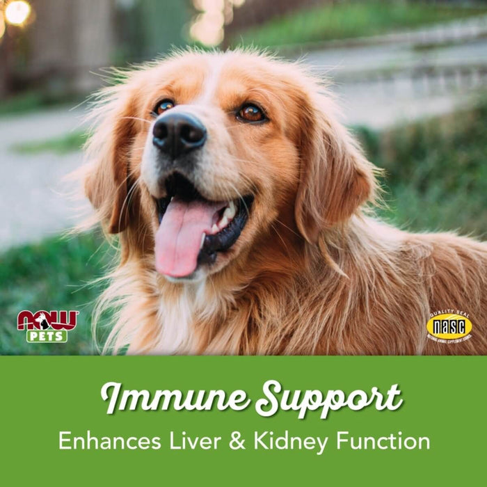 NOW Foods Immune Support for Dogs and Cats 90 Chewable Tablets | Premium Supplements at MYSUPPLEMENTSHOP