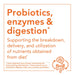 NOW Foods Saccharomyces Boulardii 5 Billion CFU Probiotic 60 Veg Capsules | Premium Supplements at MYSUPPLEMENTSHOP