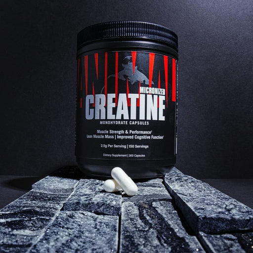 Animal Creatine Caps - 300 Capsules - Creatine Capsules at MySupplementShop by Animal